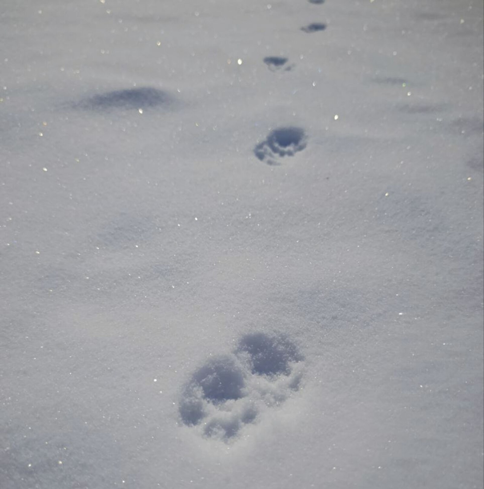 В Башкирии потеплеет к концу недели