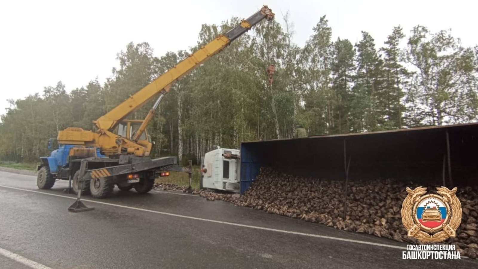 В Башкирии перевернулся грузовик со свёклой