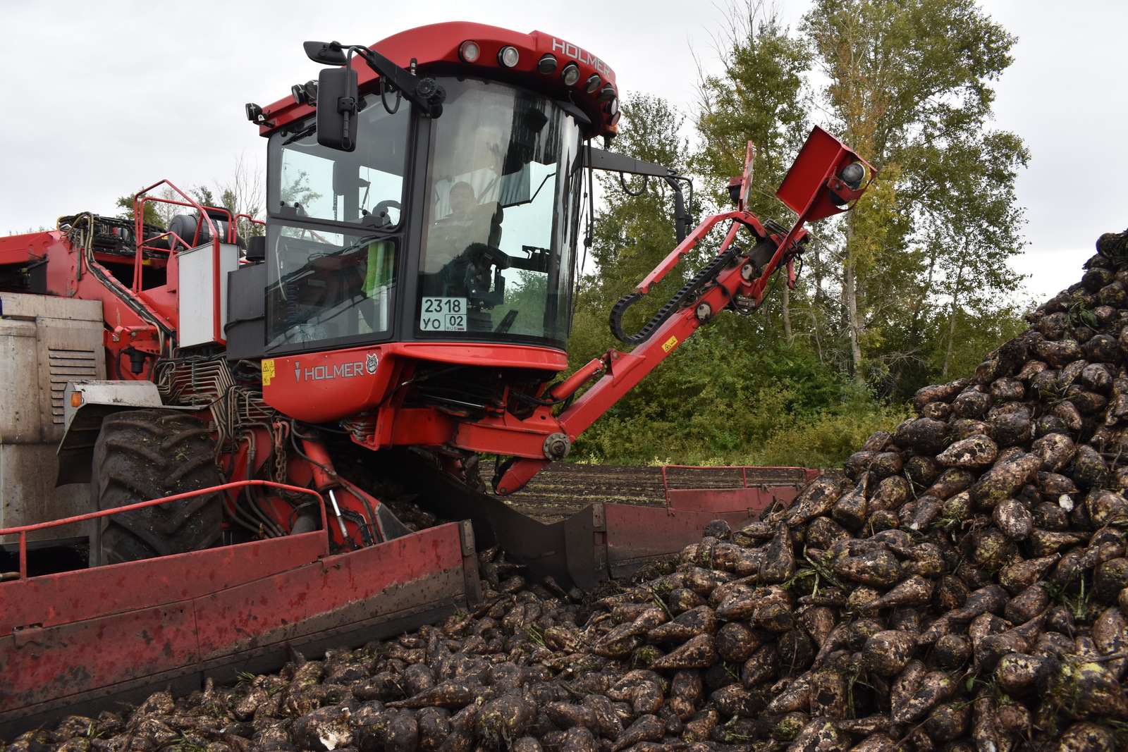 В Башкирии стартовала уборка сахарной свеклы и продолжается уборка зерновых