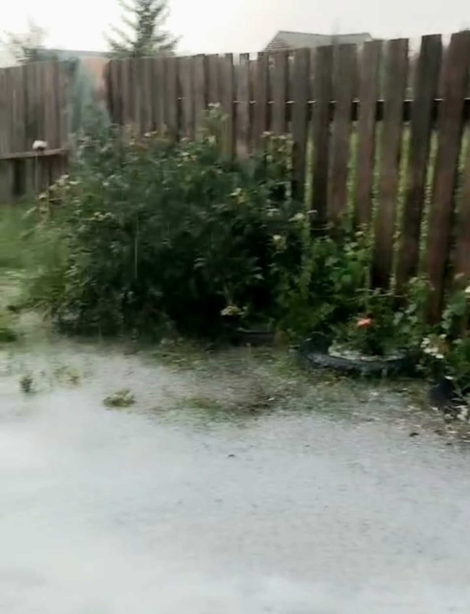 Фото: скрин видео ИА "Башинформ"