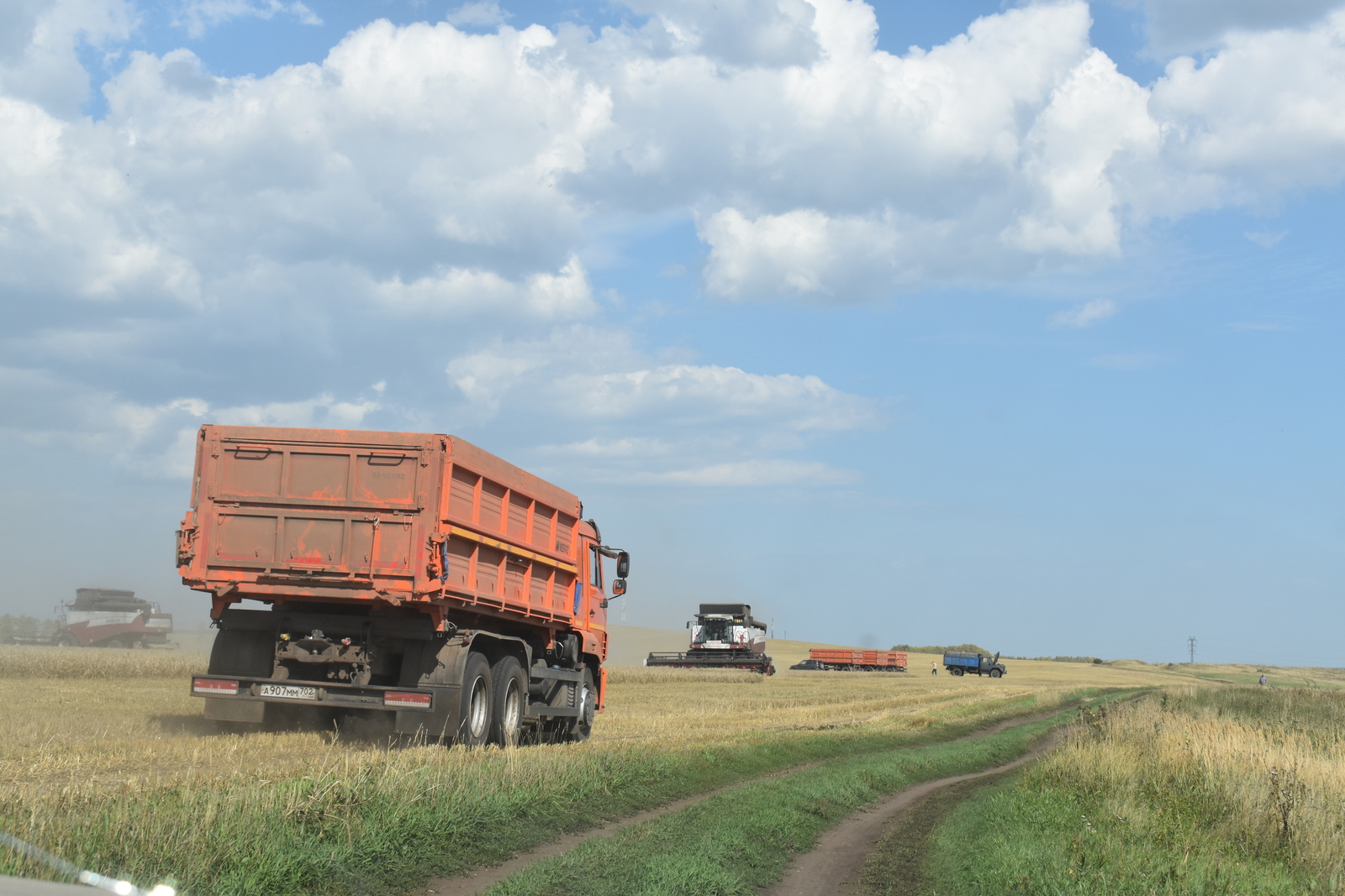 Башкирские аграрии могут получить субсидию на транспортировку сельхозпродукции