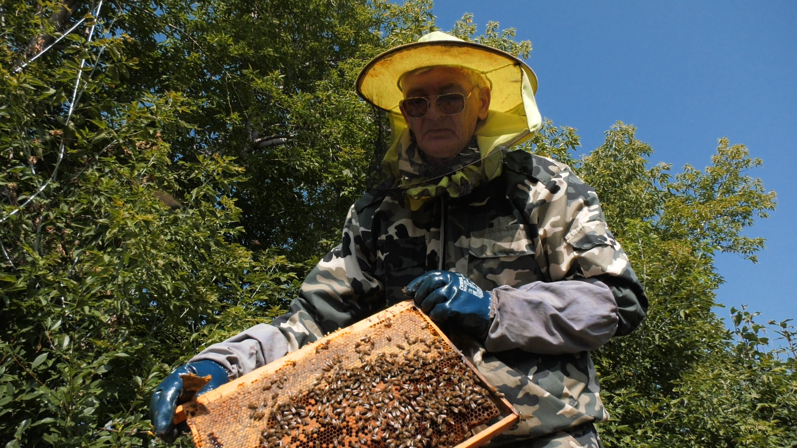 Давлекановский мед побывает на выставке "Апимондия"