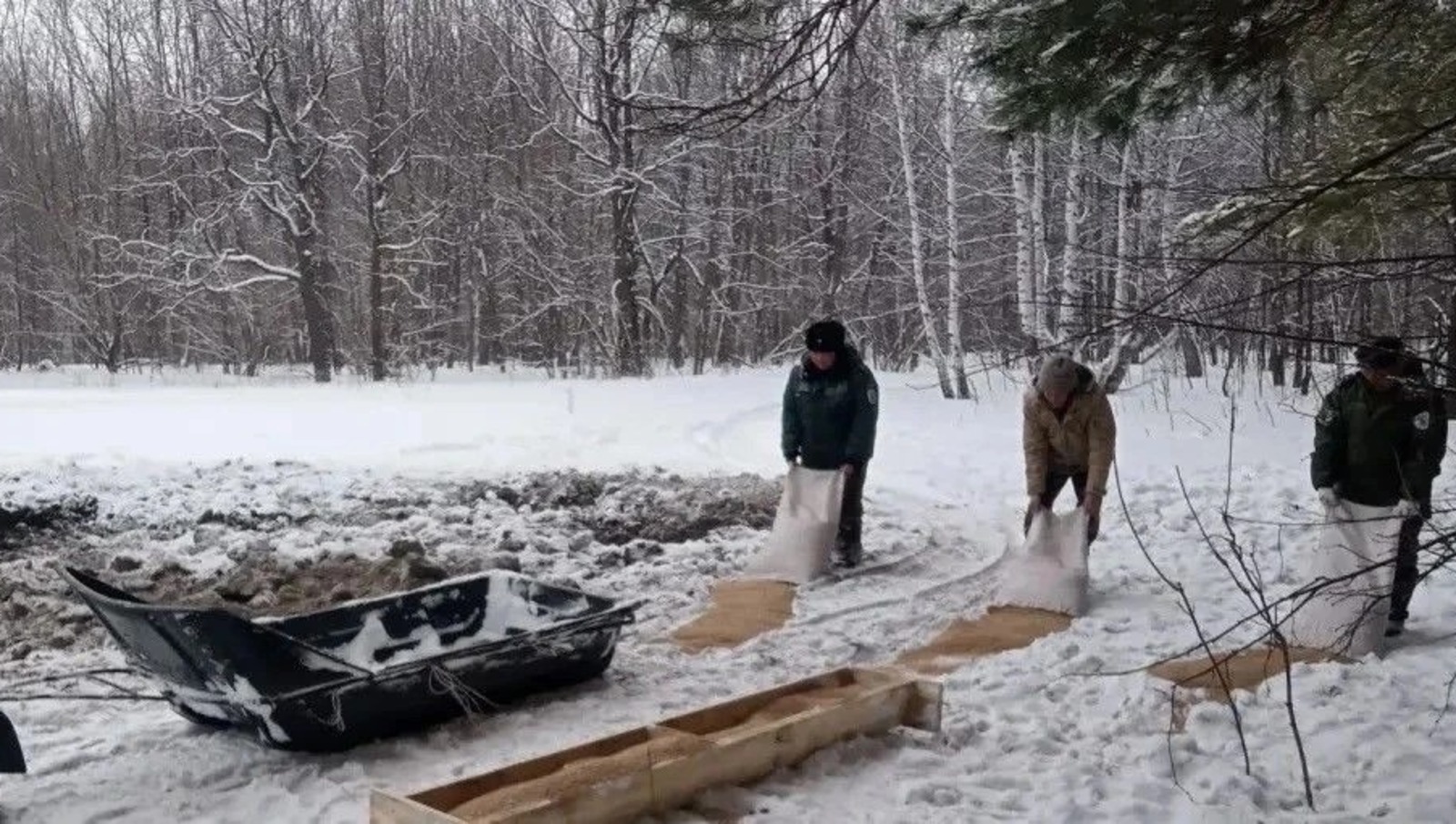 В природном парке «Аслы-Куль» организовали подкормочные площадки