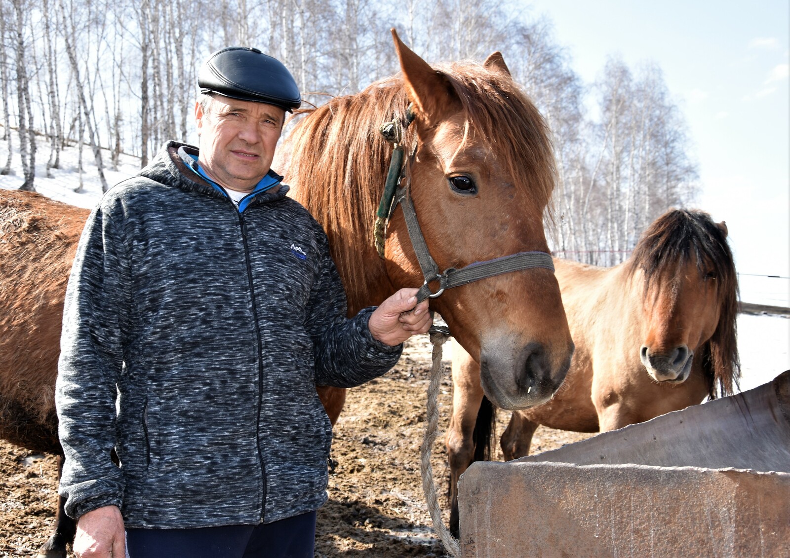 В Давлекановском районе бывший капитан речного флота занялся лошадьми