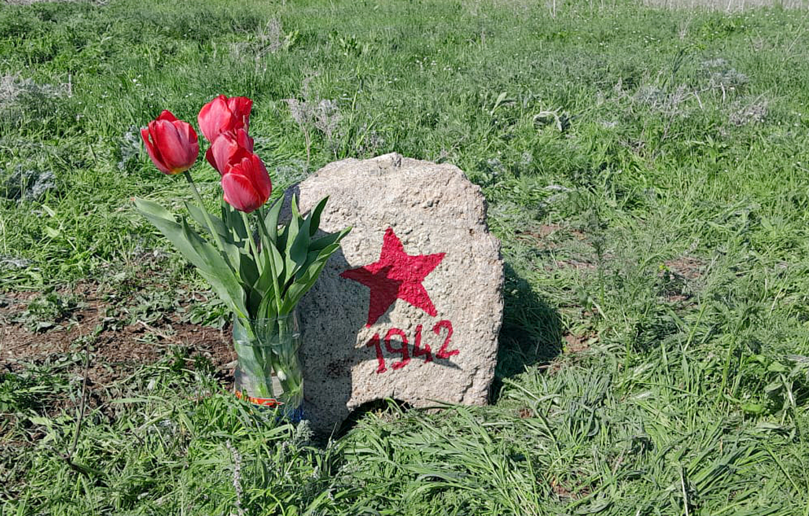 Давлекановцы стали участниками патриотических акций в Ростовской области