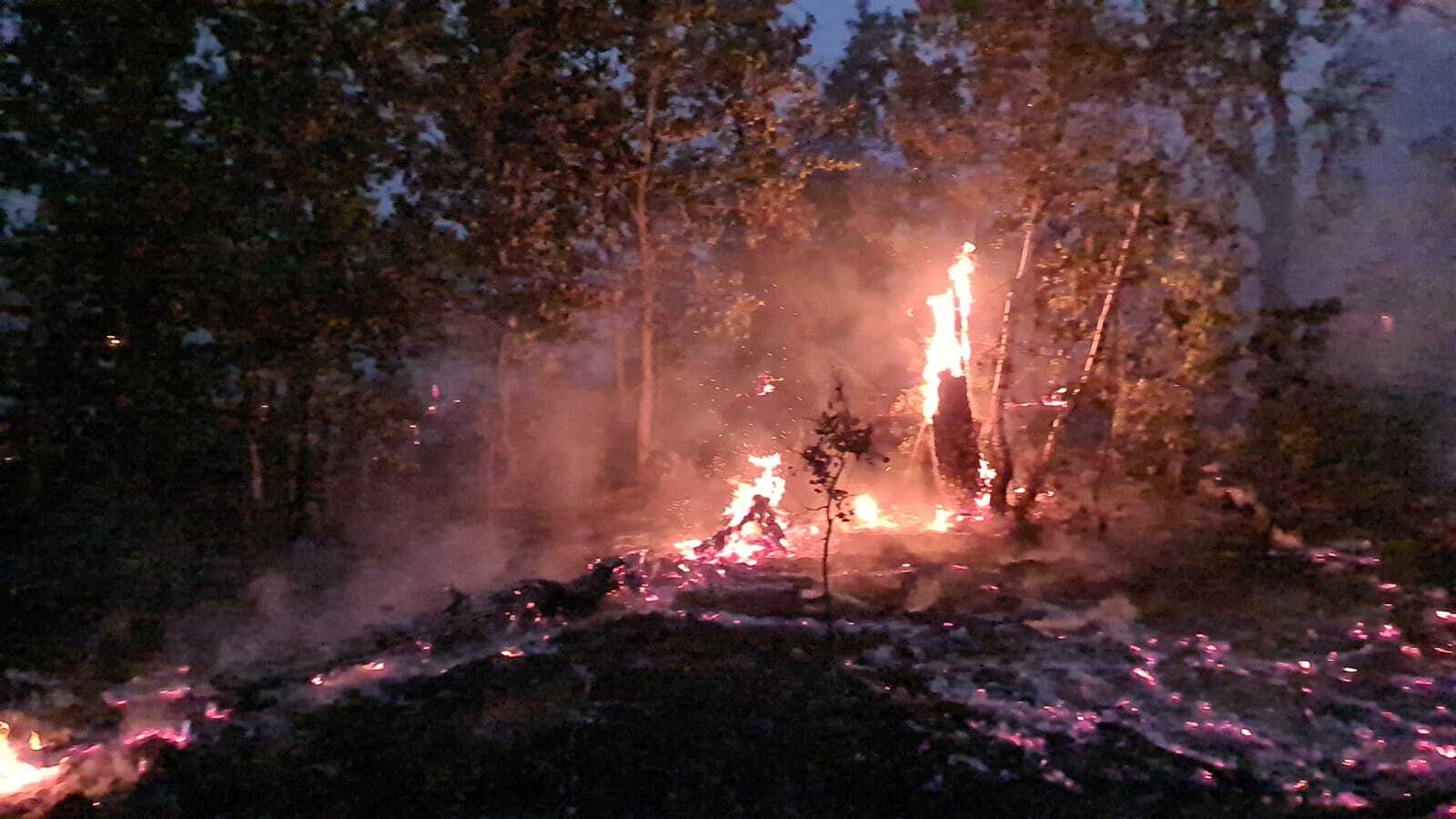 ВНИМАНИЕ! В Башкирии горят леса!!!