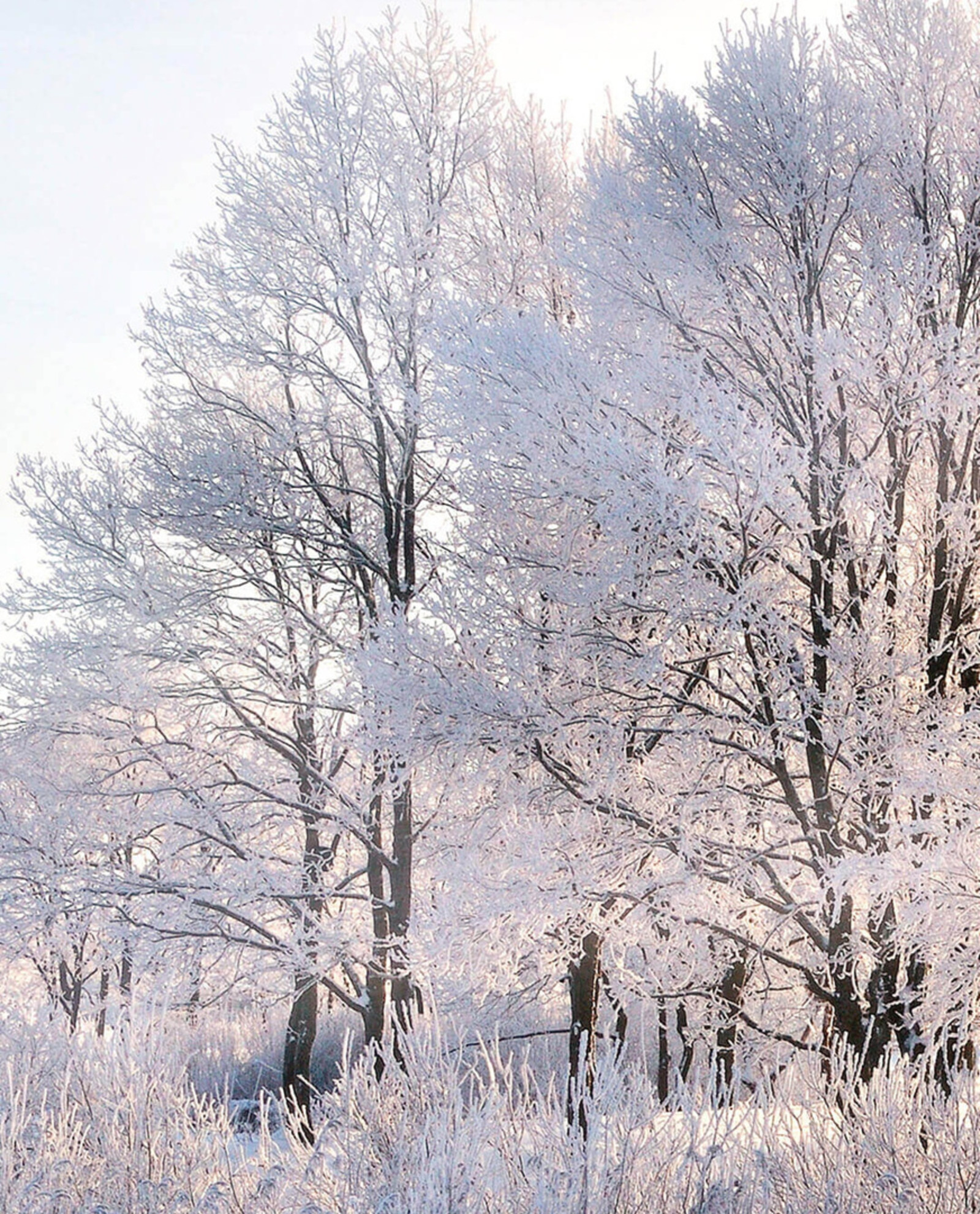В Башкирию идут морозы