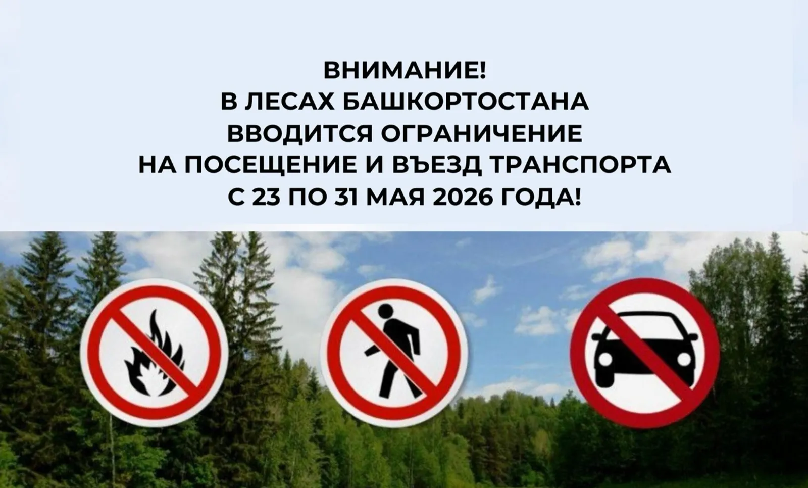 В Башкирии вводится ограничение пребывания граждан в лесах