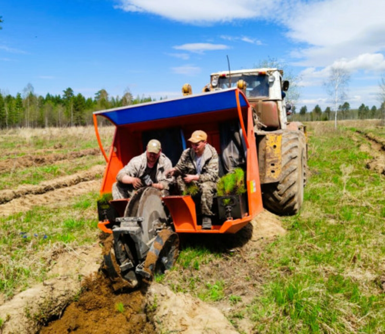 В Башкортостане перевыполнили весенние лесокультурные работы