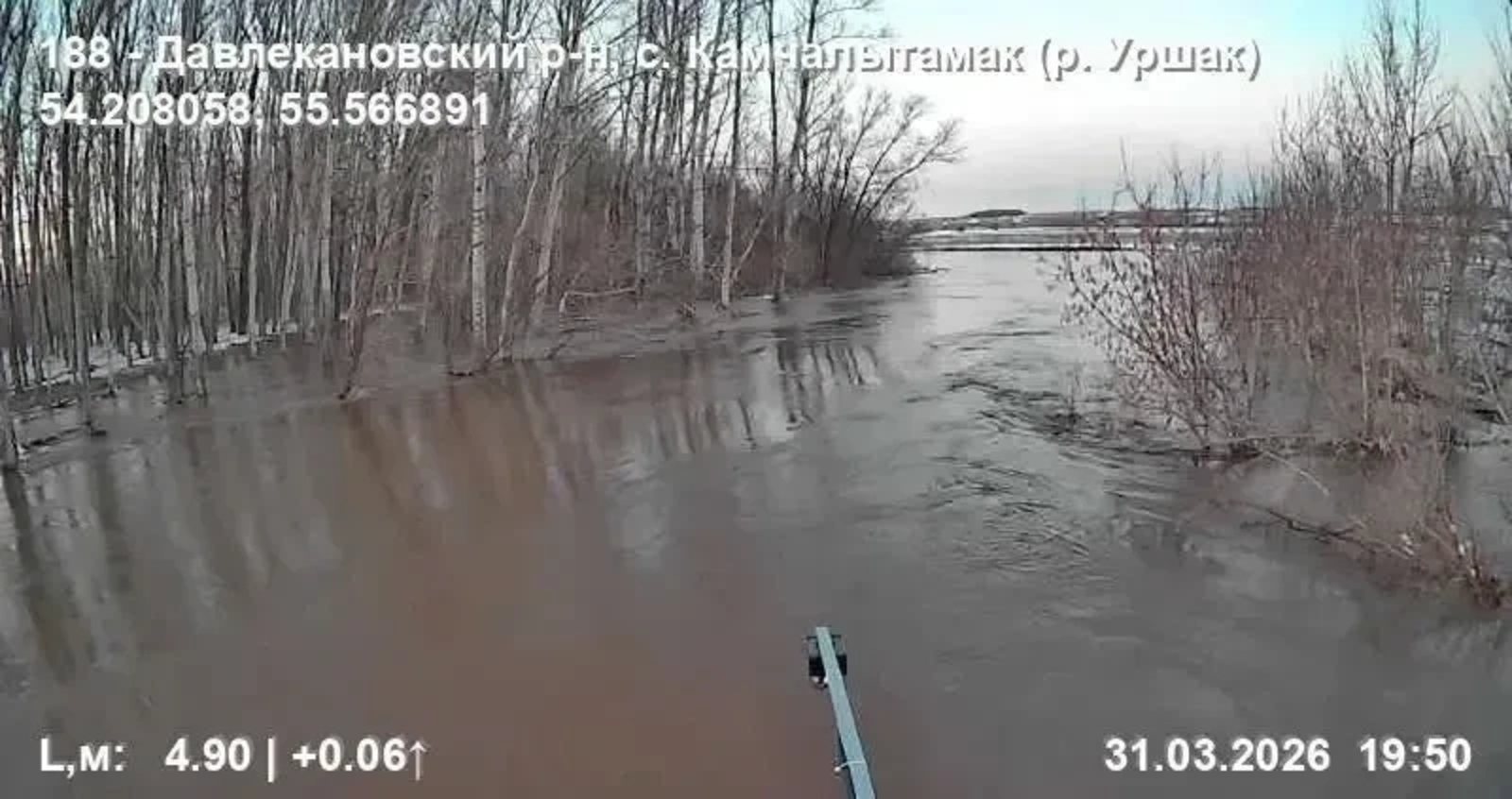 Фото: канал в МАХе Кирилла Первова