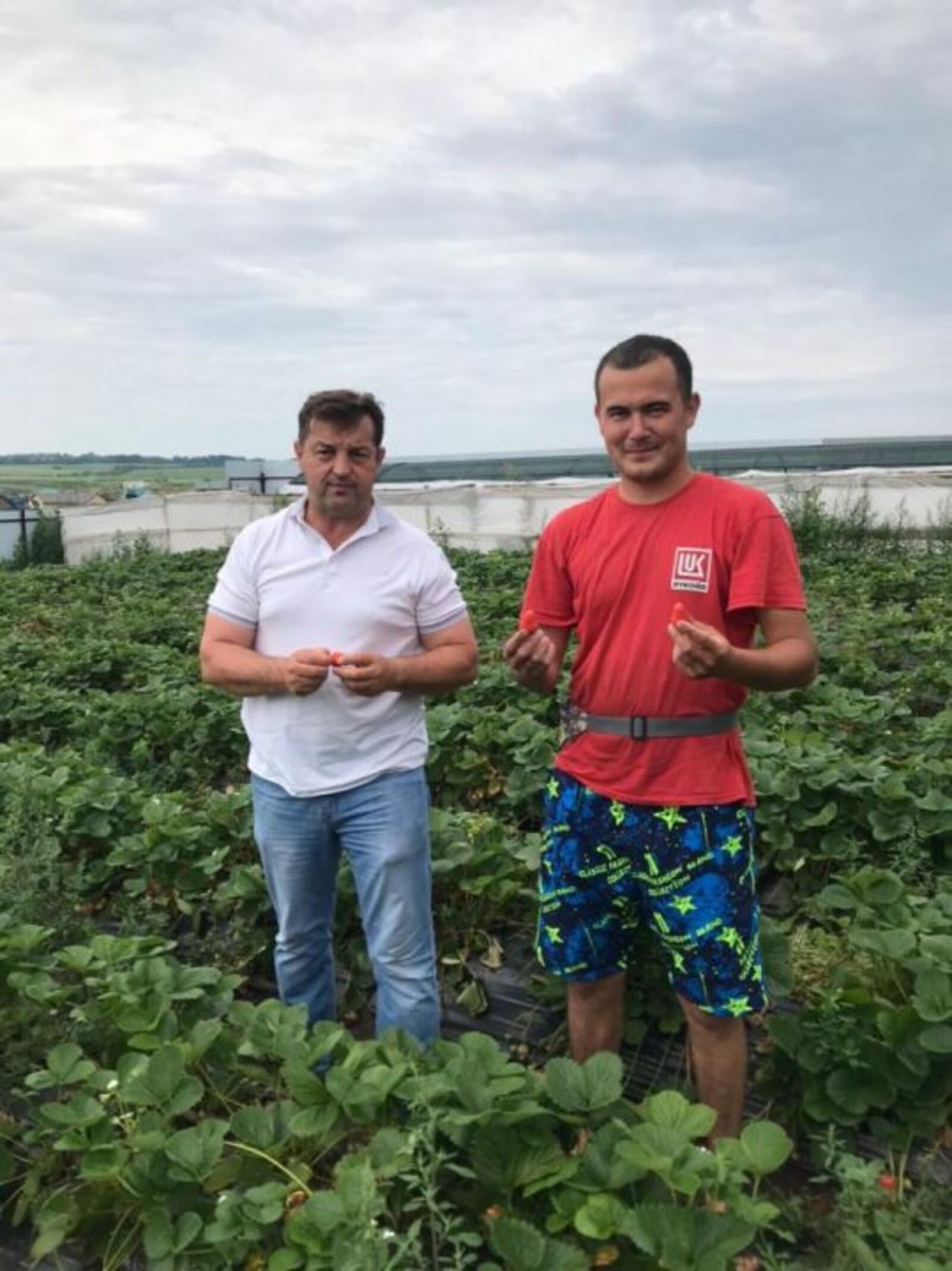 Фермер из Башкортостана направил грант на развитие клубничного дела