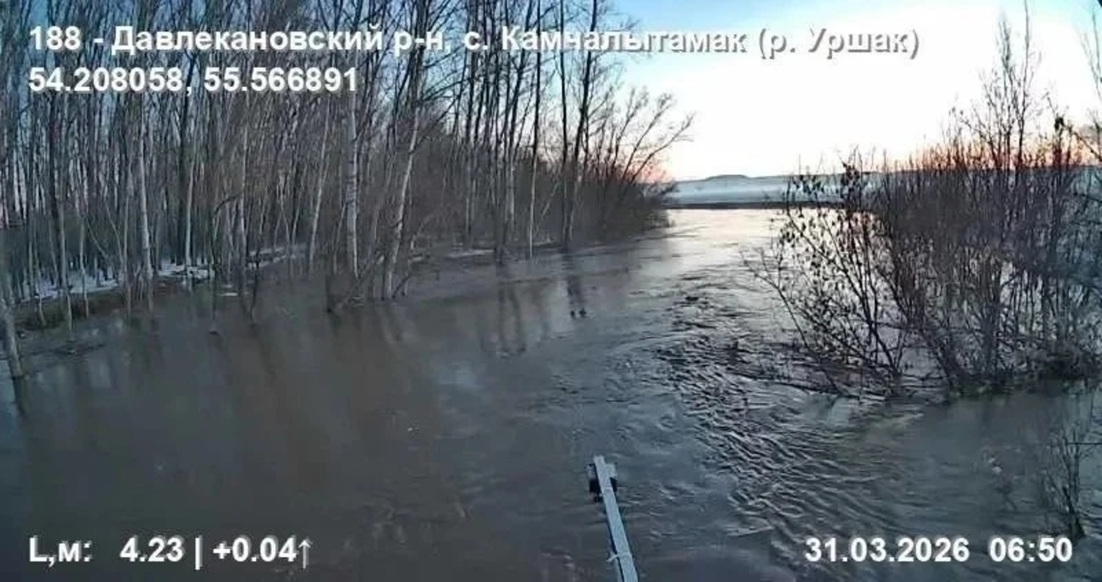 Фото: канал в МАХе Кирилла Первова