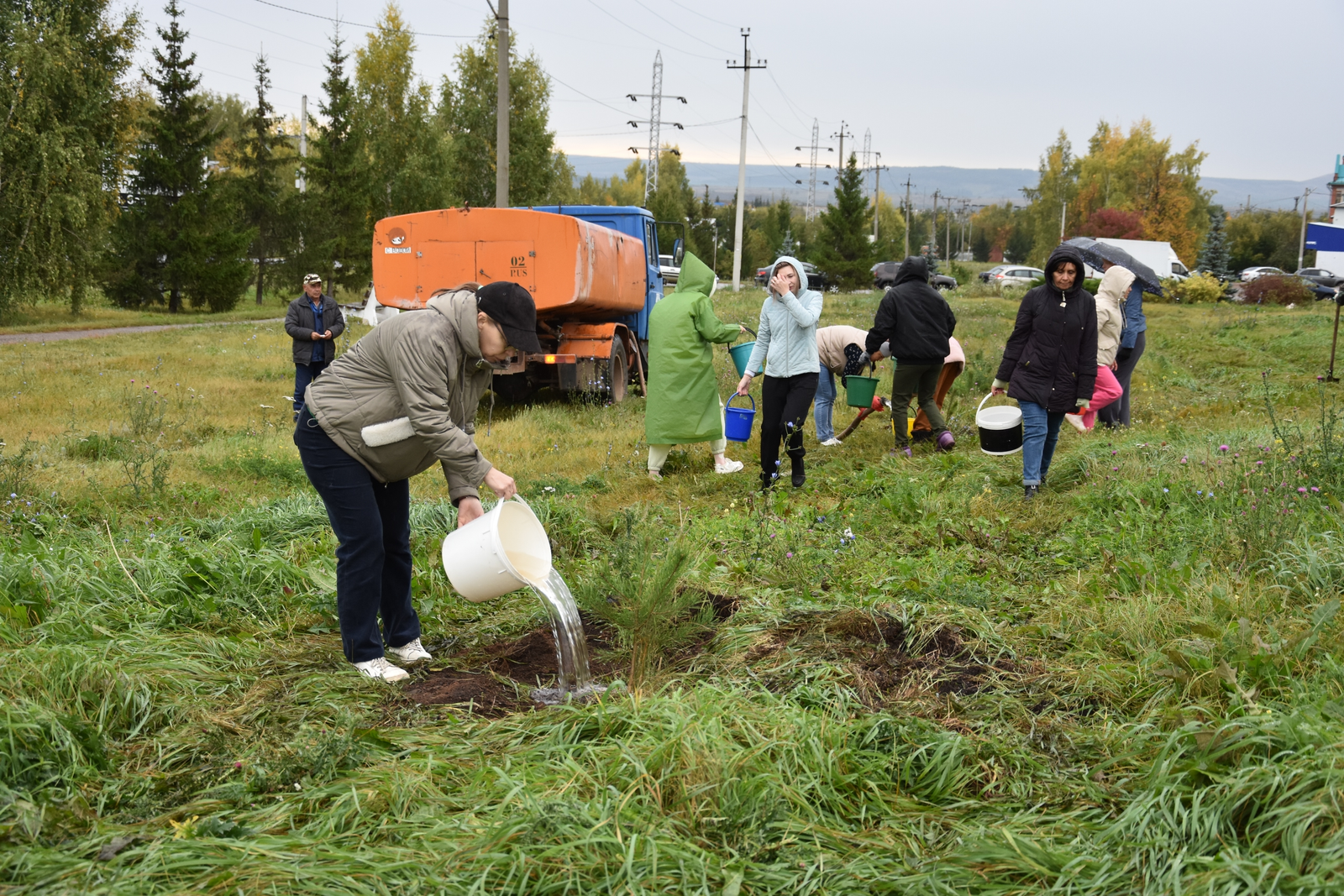 В Башкирии высадят 4,5 тысячи деревьев и 62 тысячи кустарников