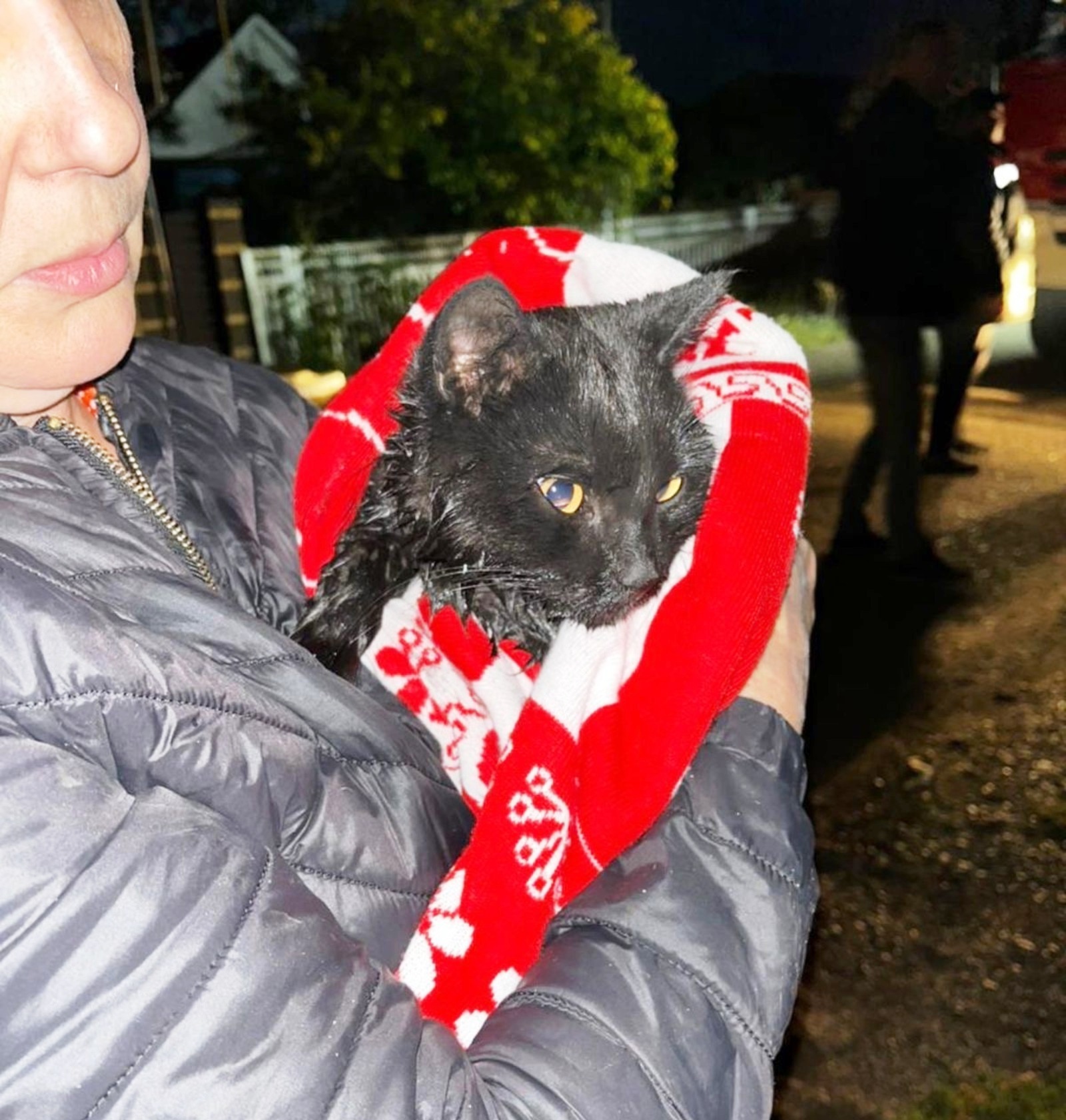 В Башкирии реанимировали пострадавшего на пожаре кота