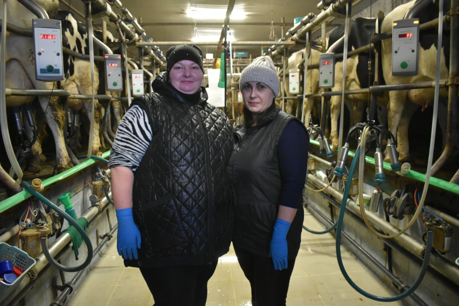 Всегда на работу к пяти утра