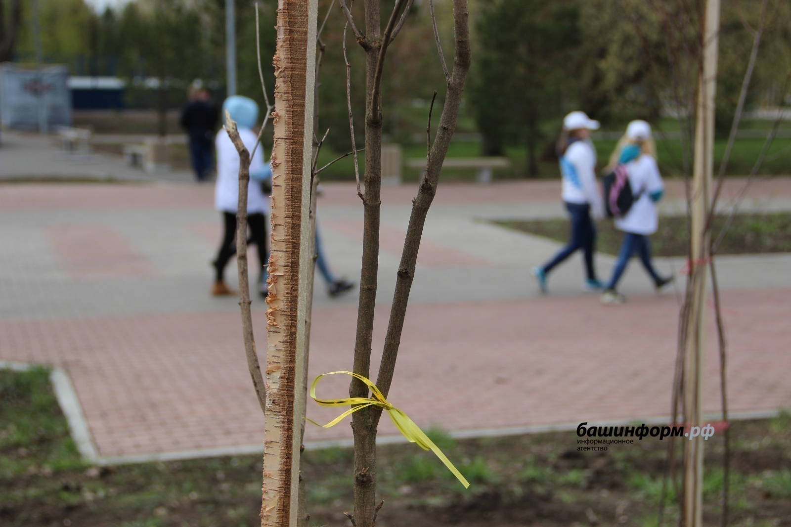 Башкирия вошла в Топ-10 в рамках акции «Сад Памяти»