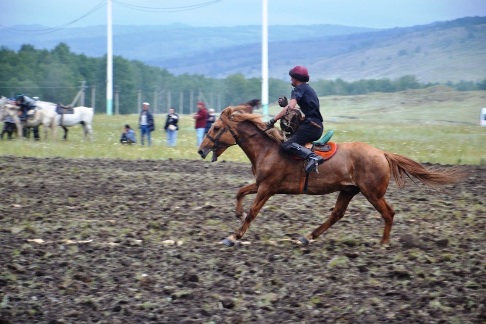 Дмитрия Фадеева  Жительница Гафурийского района рассказала, какое значение для башкира имеет лошадь