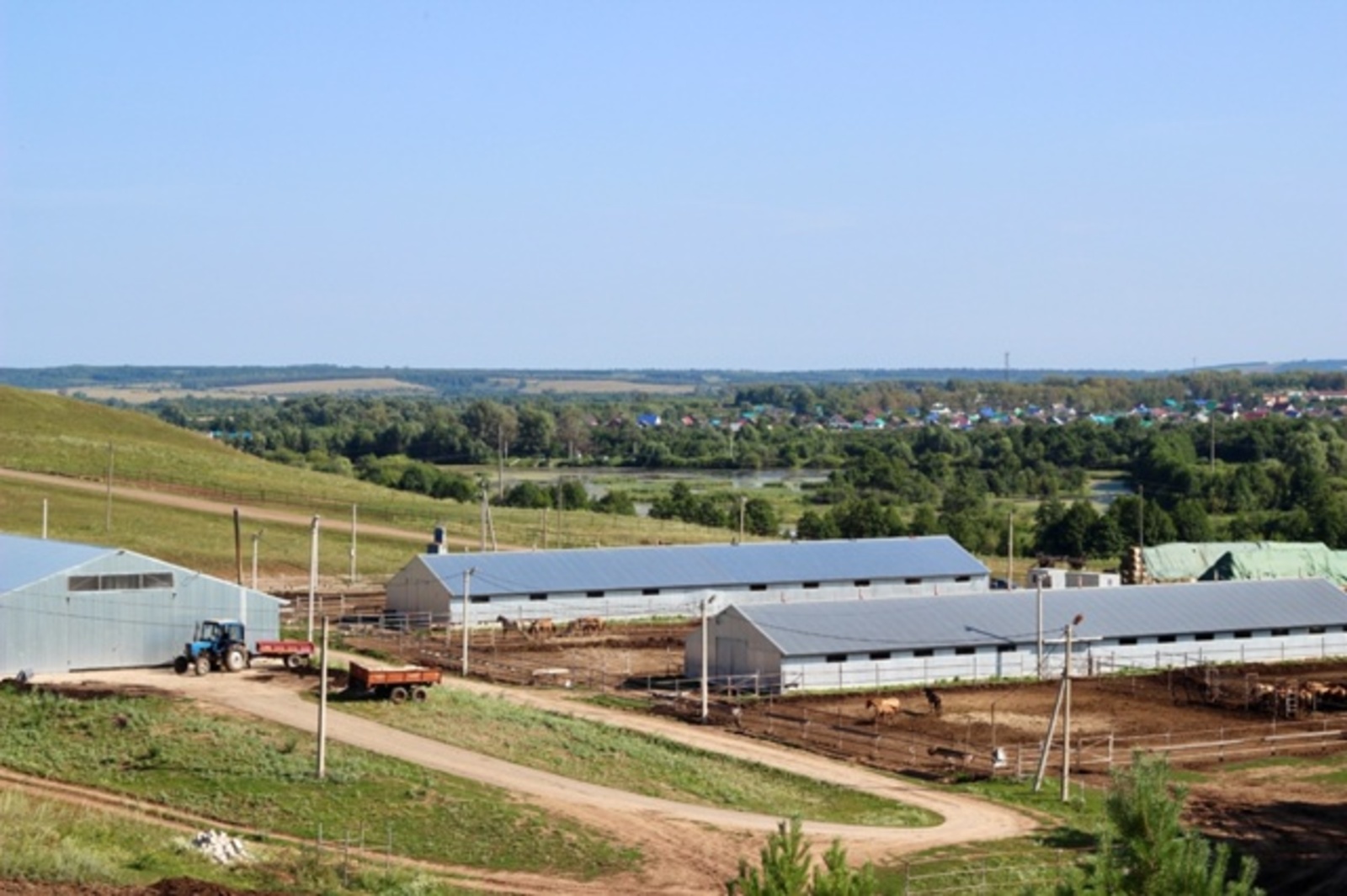 Жительница Калтасинского района основала конеферму