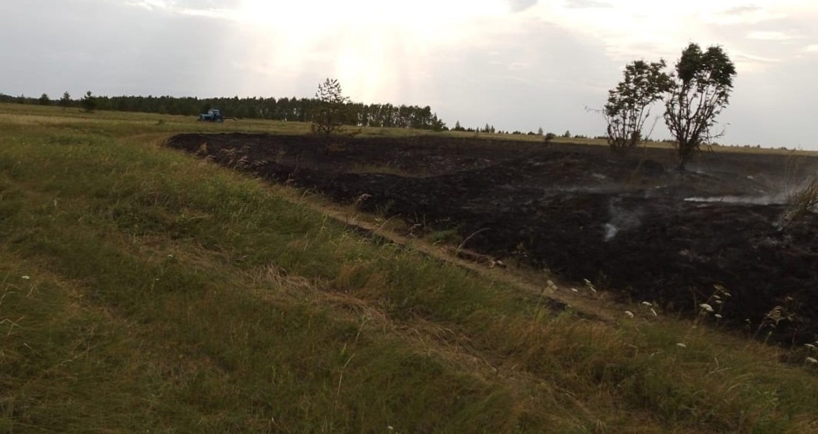 В Башкирии горит сухая трава