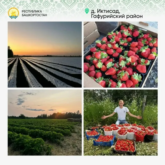 Глава Башкирии - о реализованных с помощью «Предпринимательских часов» проектах