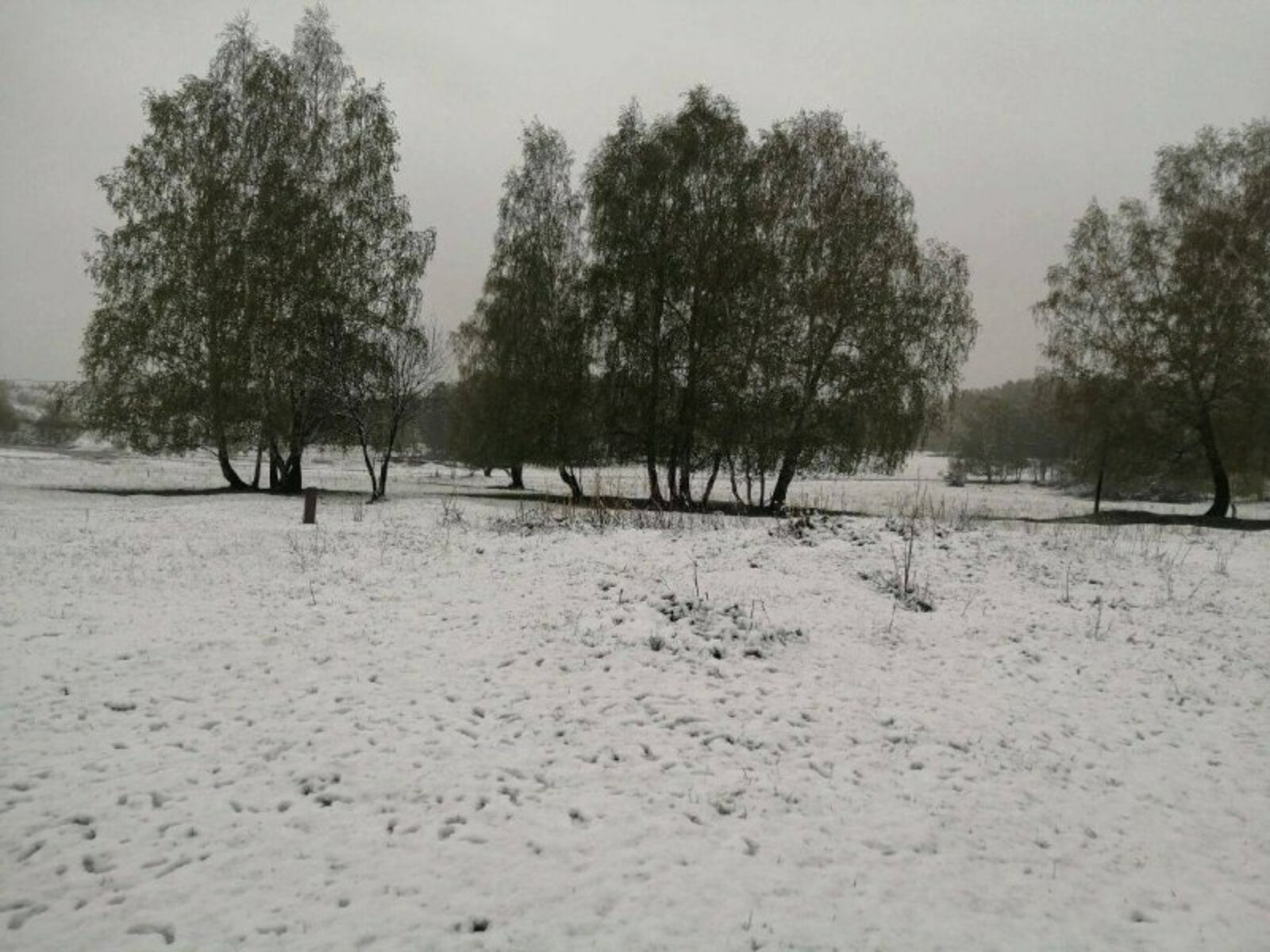 В Башкирии прошел снегопад