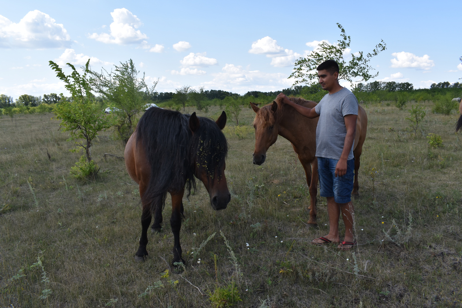 Молодой фермер Давлекановского района получил грант на развитие коневодства