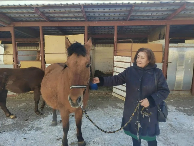 Глава Башкирии рассказал о легенде республиканского коневодства