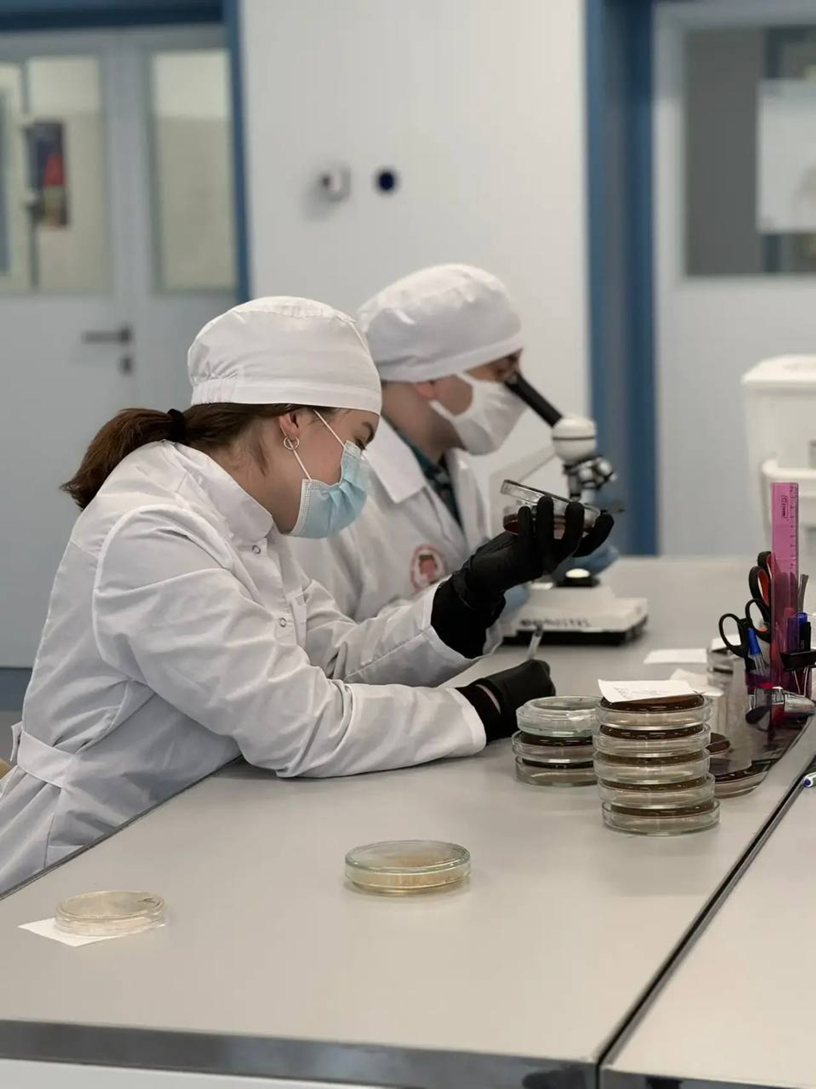 В кампусе разработали тест для обнаружения «бактерии стройности» у человека