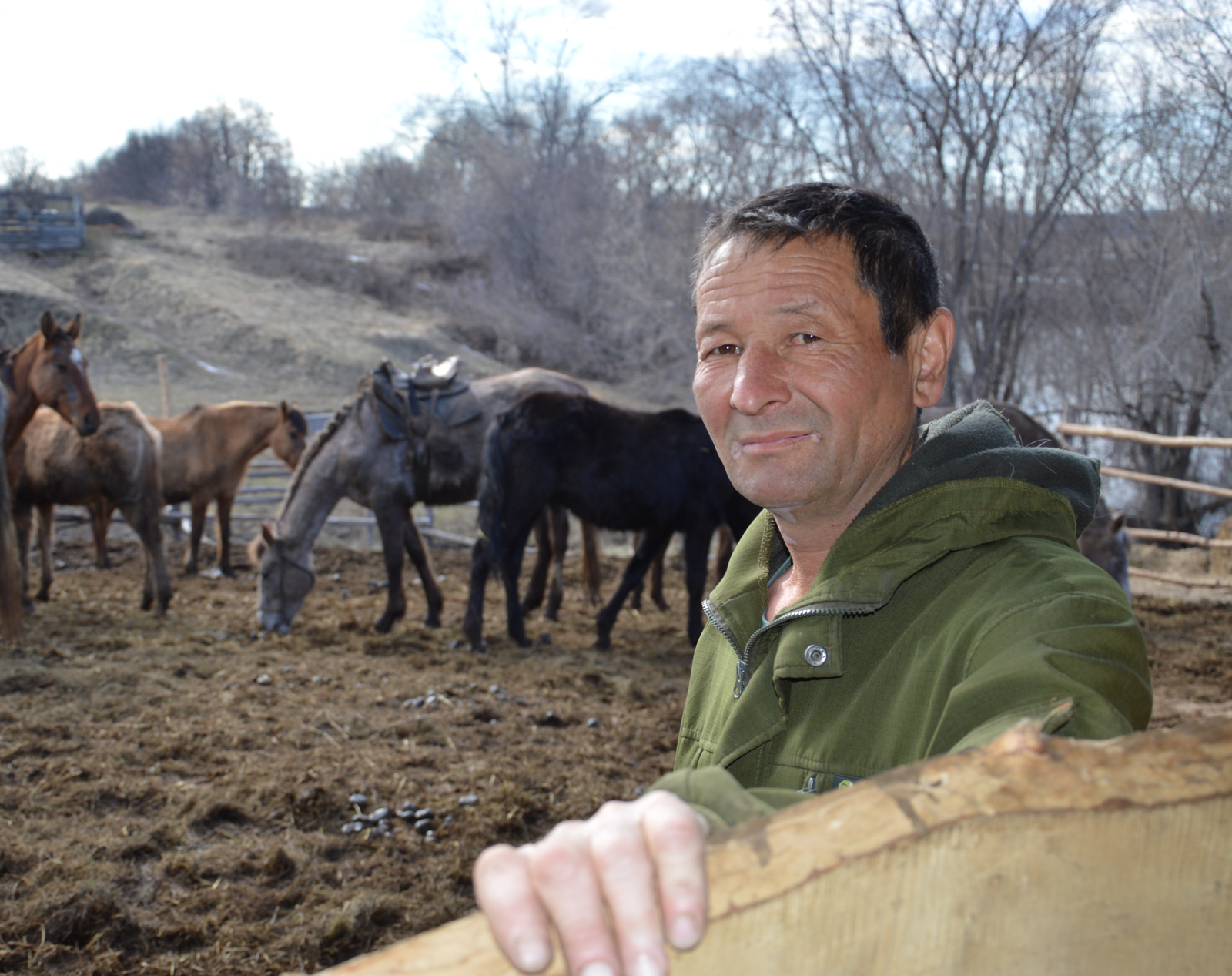 Житель Соколовки разводит лошадей и занимает призовые места на скачках