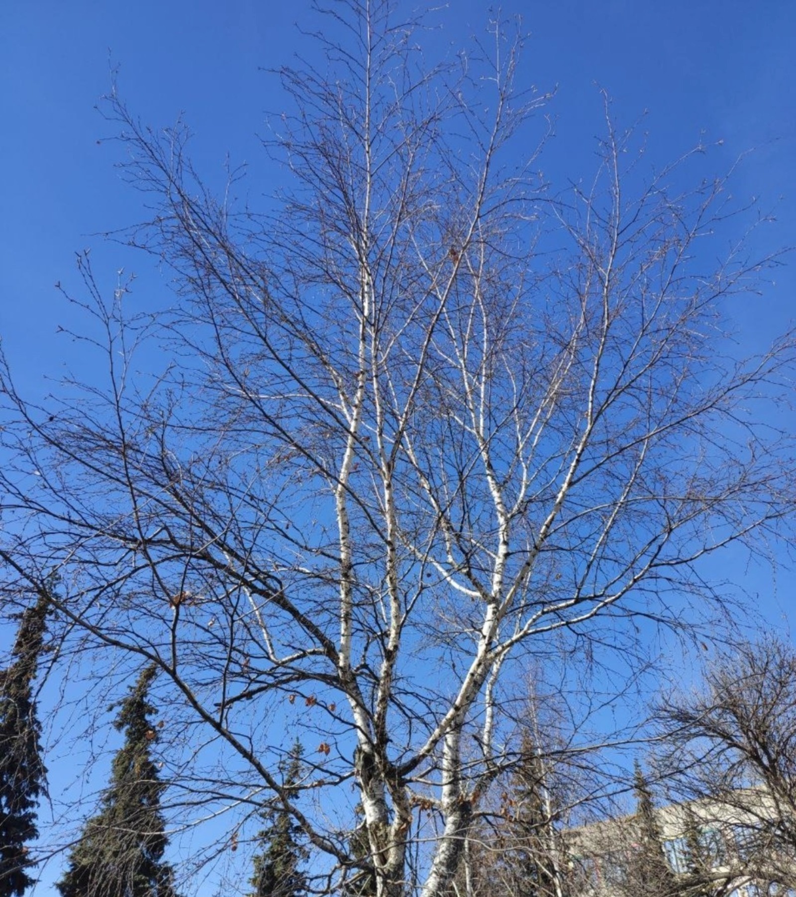 9 ветеранов СВО из Башкортостана примут участие в региональном этапе чемпионата