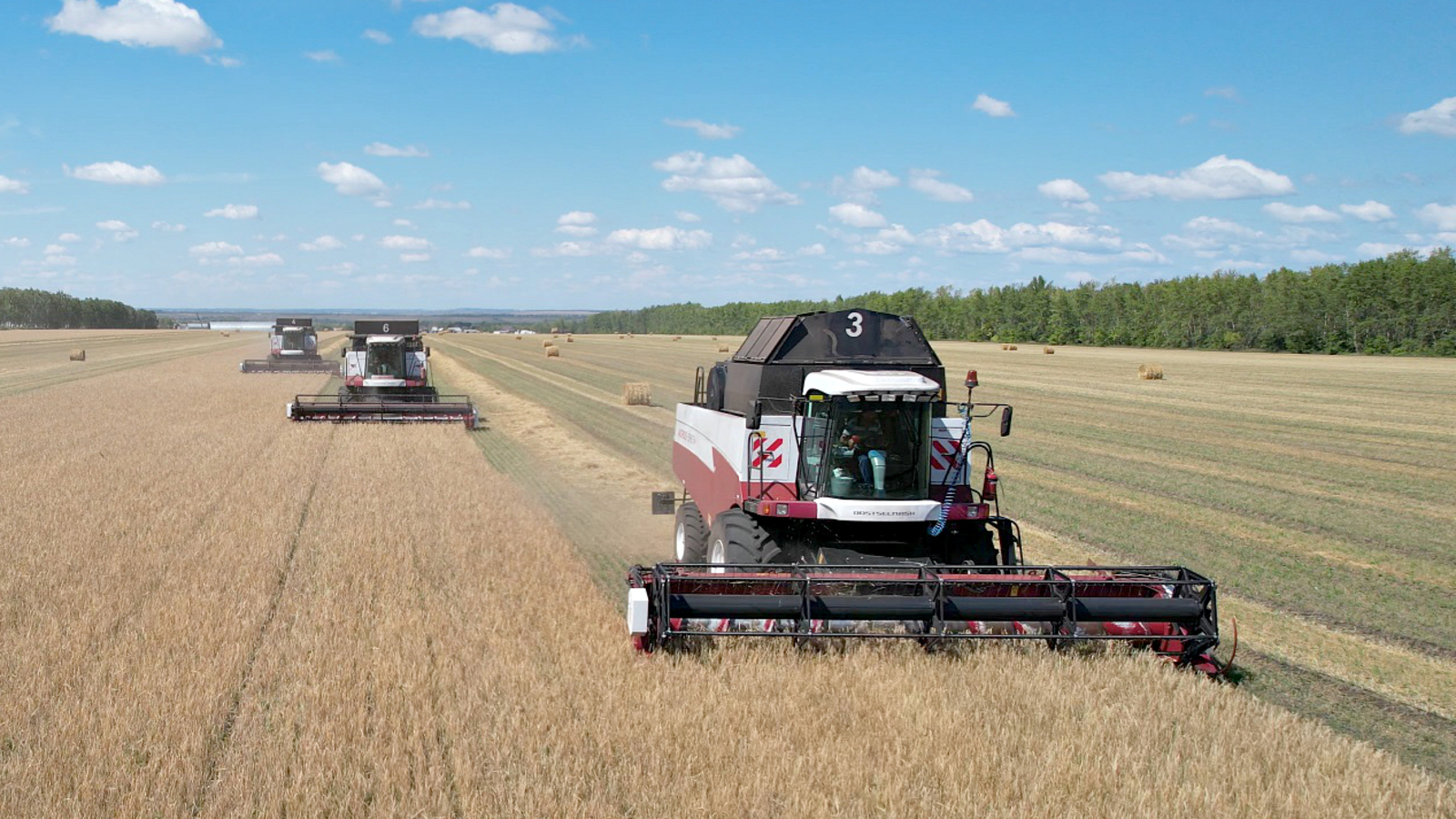 Аграрии Башкортостана собрали 550 тысяч тонн зерна
