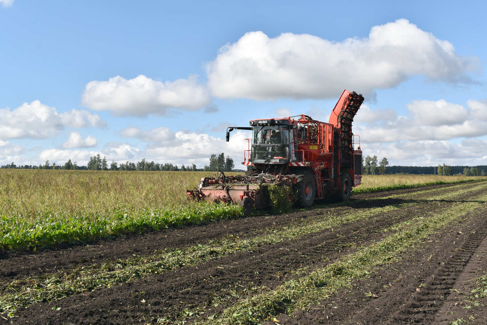 Давлекановские аграрии продолжают уборочную кампанию